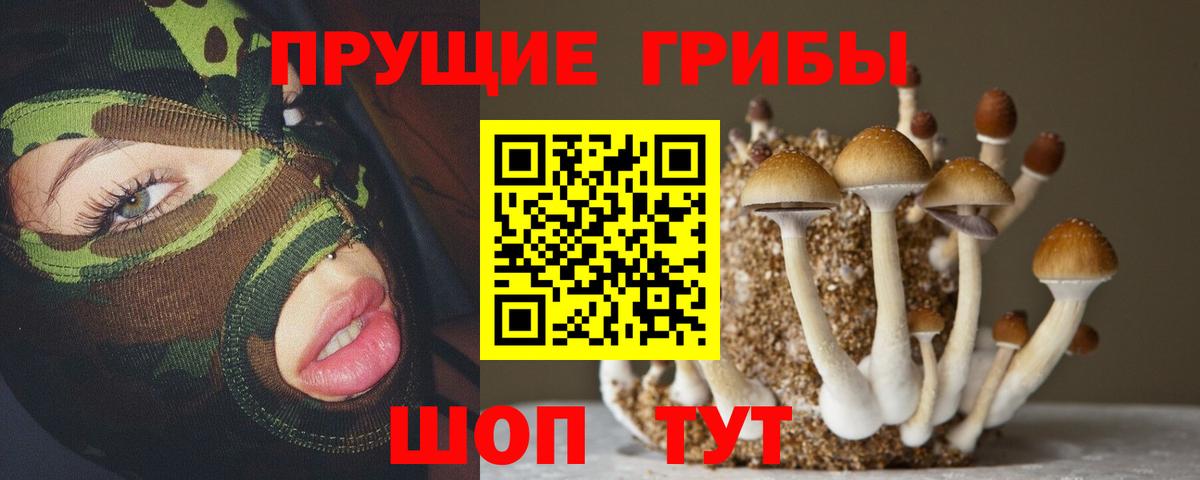 Псилоцибиновые грибы ЛСД  Вход с VPN  купить наркоту  Псилоцибиновые грибы Magic Shrooms  Верхний Уфалей 